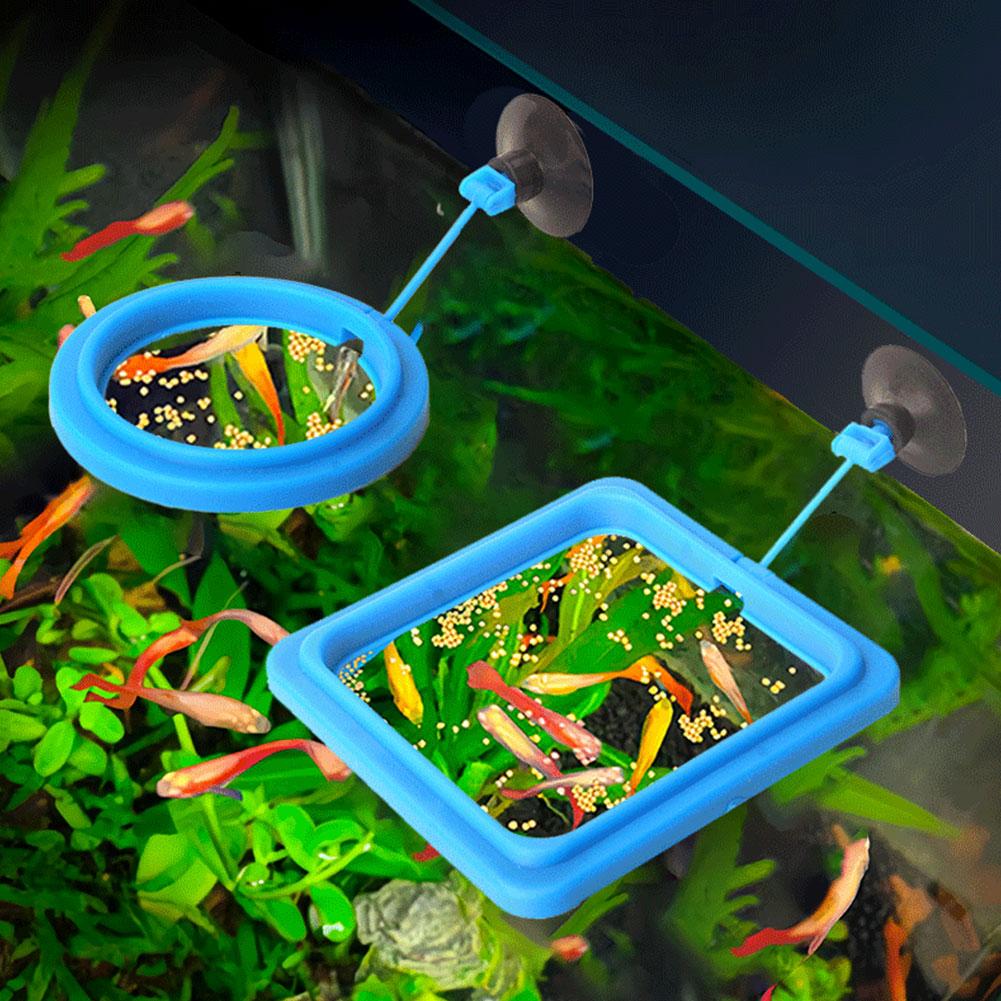 Fish Feeding Ring Feeder Fishi - Tetra Food Tropical Flakes 评论和价格