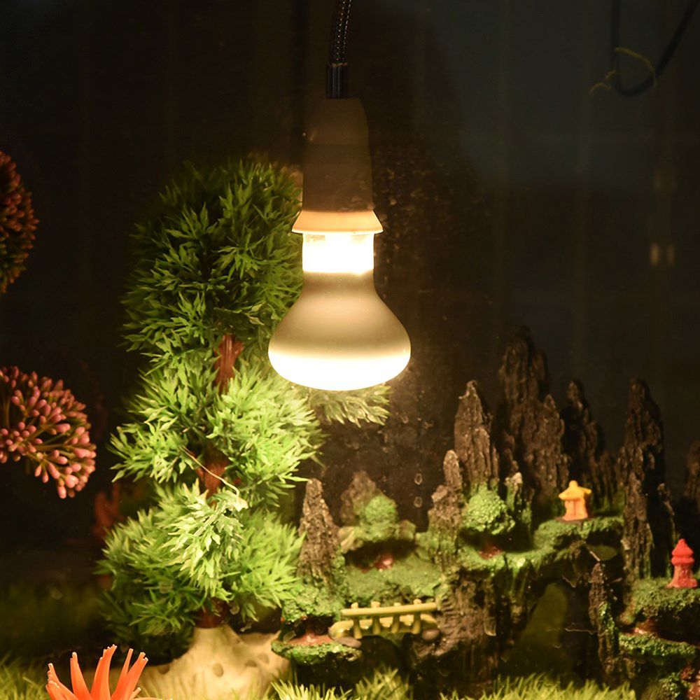 Amphibians Temperature Control - Basking Bulb Halogen 评论和价格