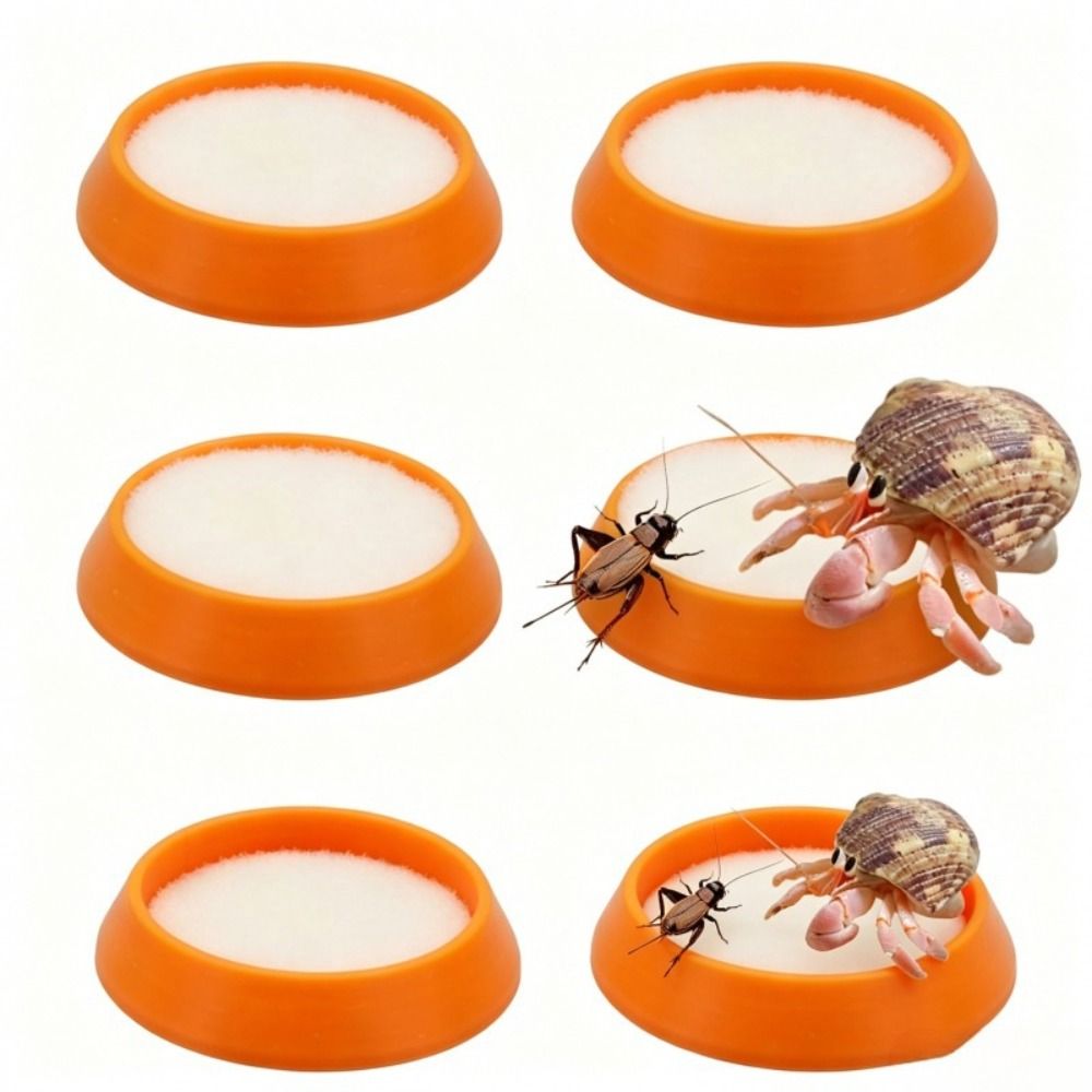 6pcs Portable Reusable Reptile - Water Dish Reptile 评论和价格