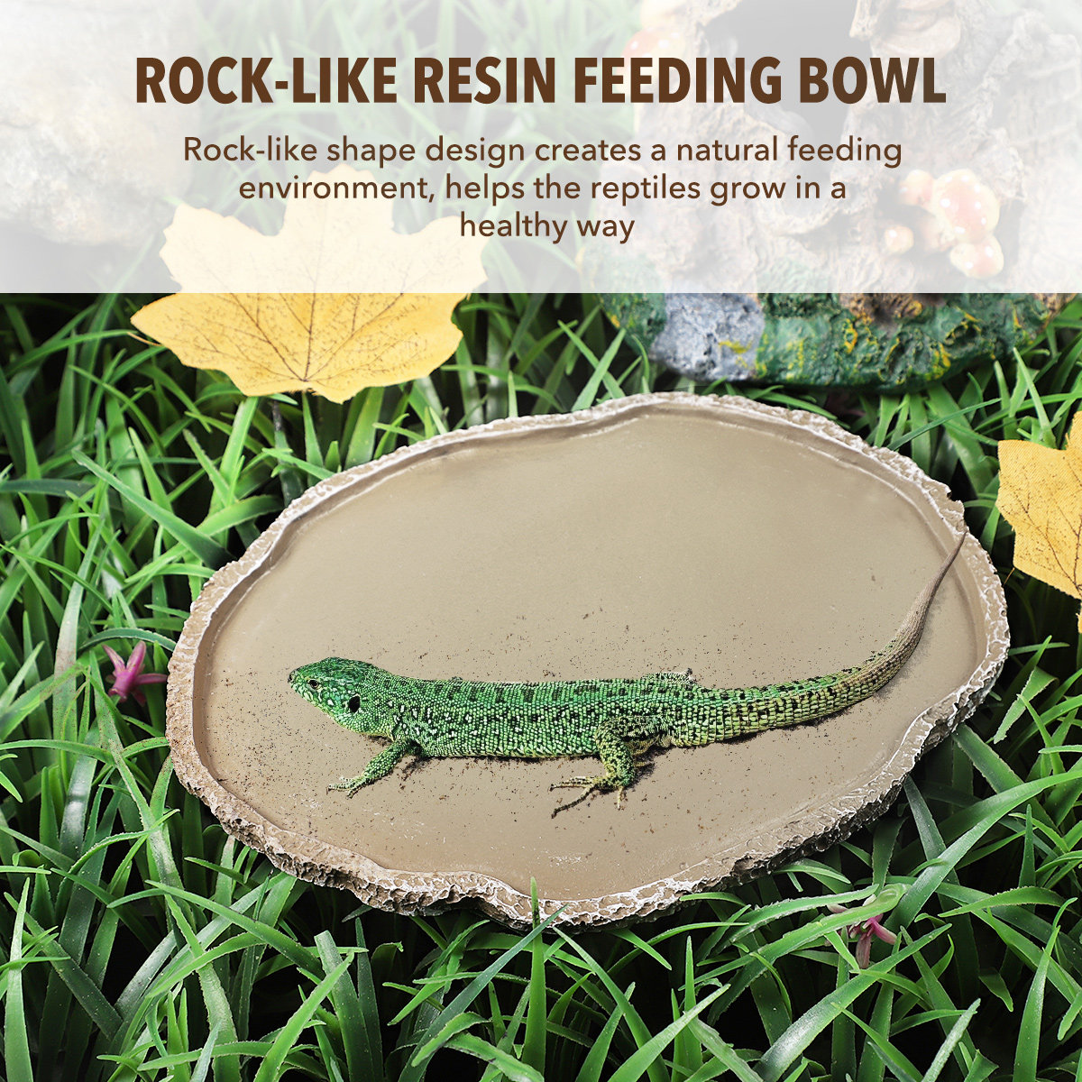 Resin Reptile Feeding Bowl Stu - Water Dish Reptile 评论和价格
