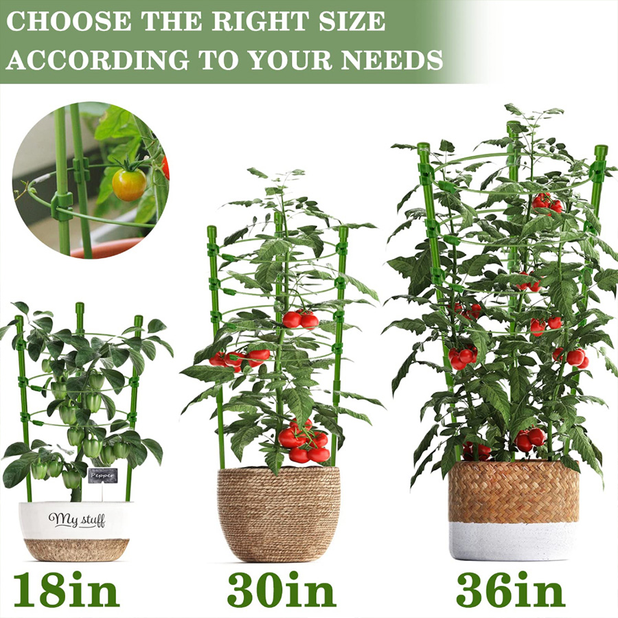 Durable Thickened Plastic Plan - Vine Climbing Plastic 评论和价格