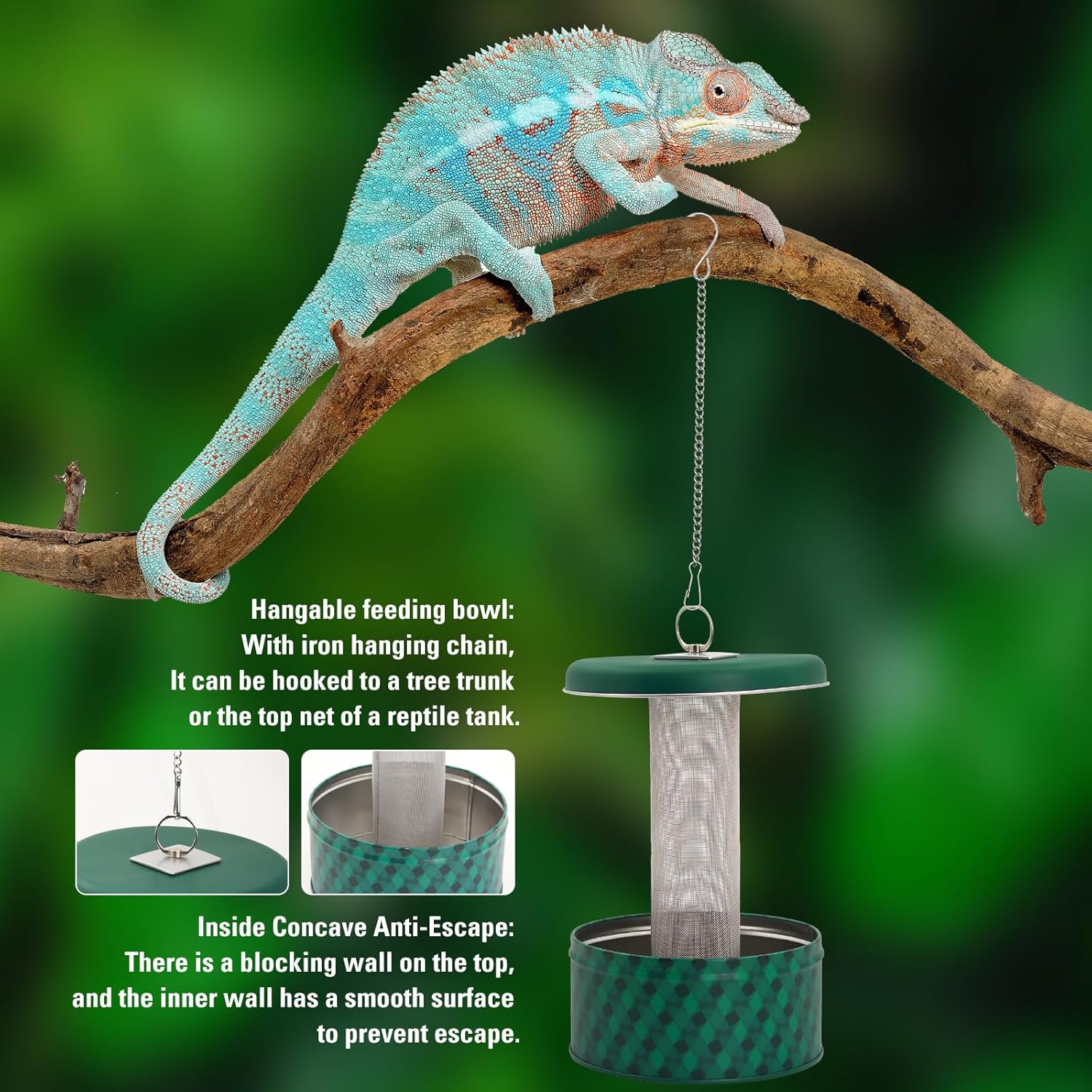 Bearded Dragon Feeder Chameleo - Water Dish Reptile 评论和价格