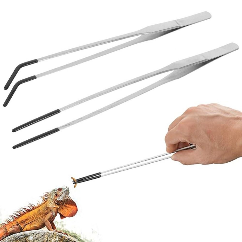 2Pcs Stainless Steel Aquarium  - Feeding Tong Stainless 评论和价格