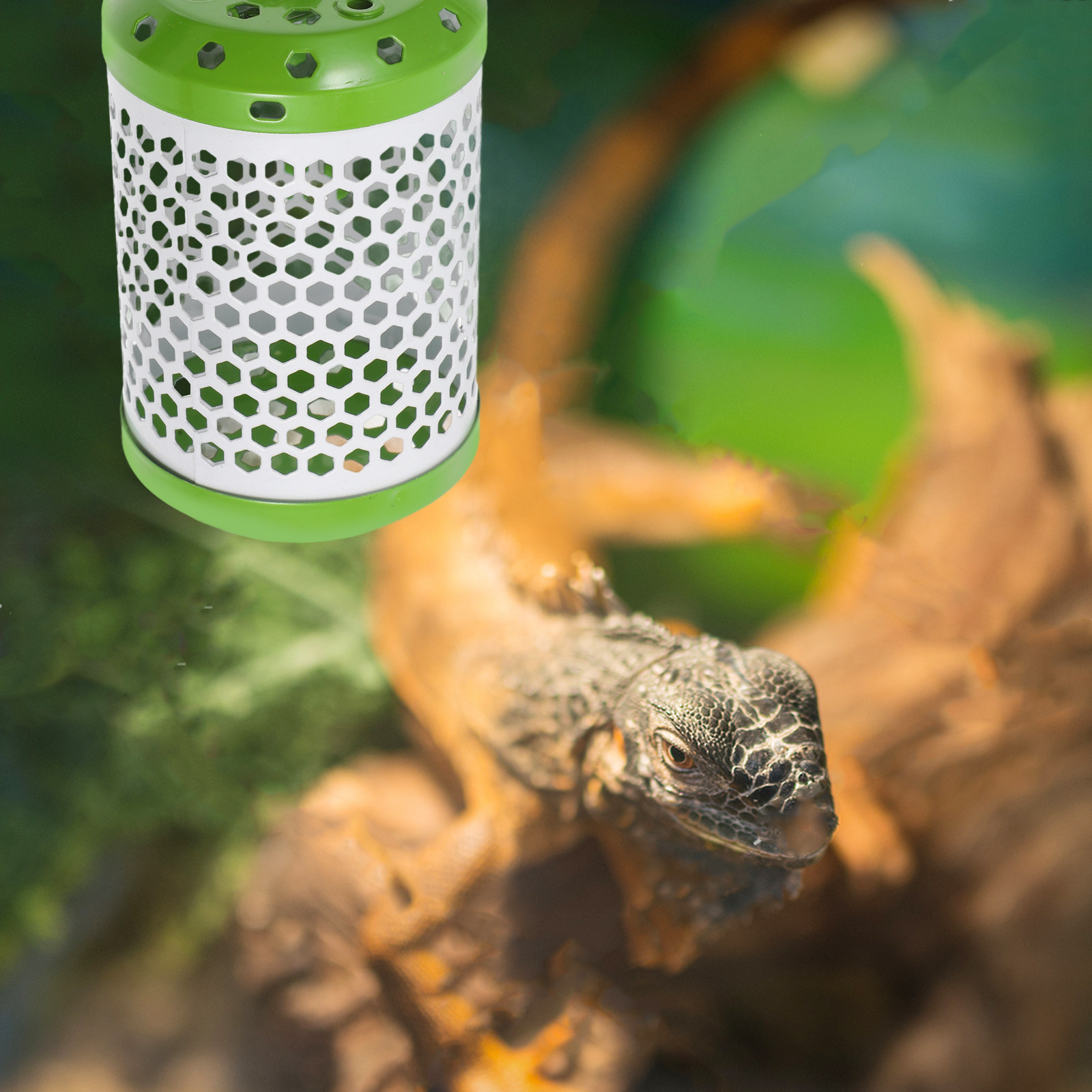 Adjustable Reptile Heat Lamp G - Ceramic Heat Emitter 评论和价格