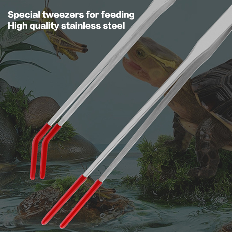 Reptile Feeding Tongs with Rub - Feeding Tong Stainless 评论和价格