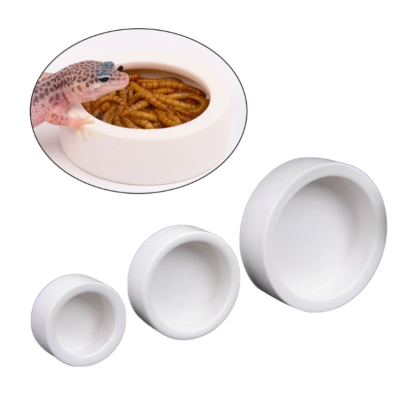 Reptile Food Bowl Anti-Escape  - Water Dish Reptile 评论和价格