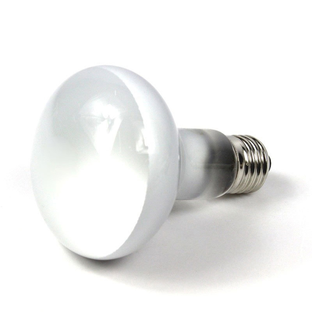 Turtle Heater Heat Lamp Reptil - Basking Bulb Halogen 评论和价格