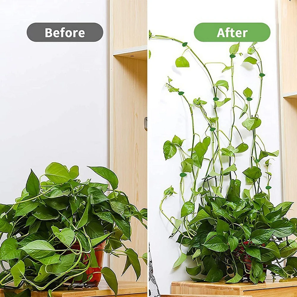10/30/50Pcs Plant Climbing Wal - Vine Climbing Plastic 评论和价格